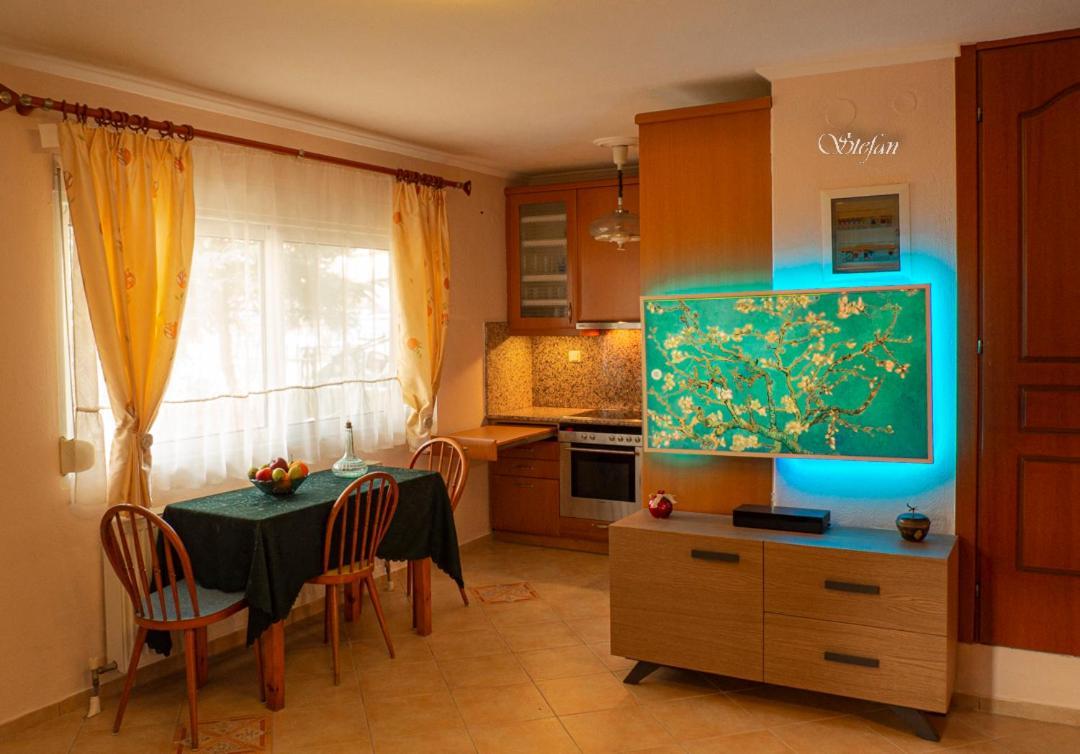 Stefan's House Apartment